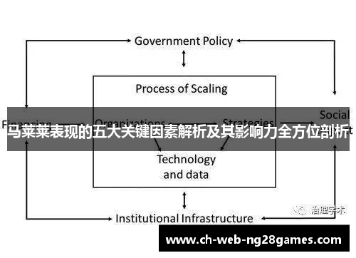 马莱莱表现的五大关键因素解析及其影响力全方位剖析